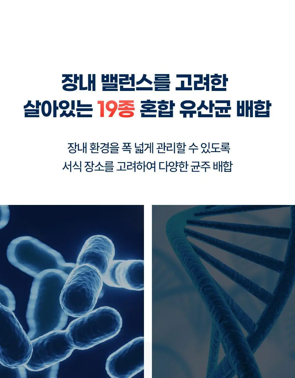 [20억 보장] 그린몬스터 혈당관리 유산균 하루 큐 30캡슐 (1개월분) 상세페이지 32